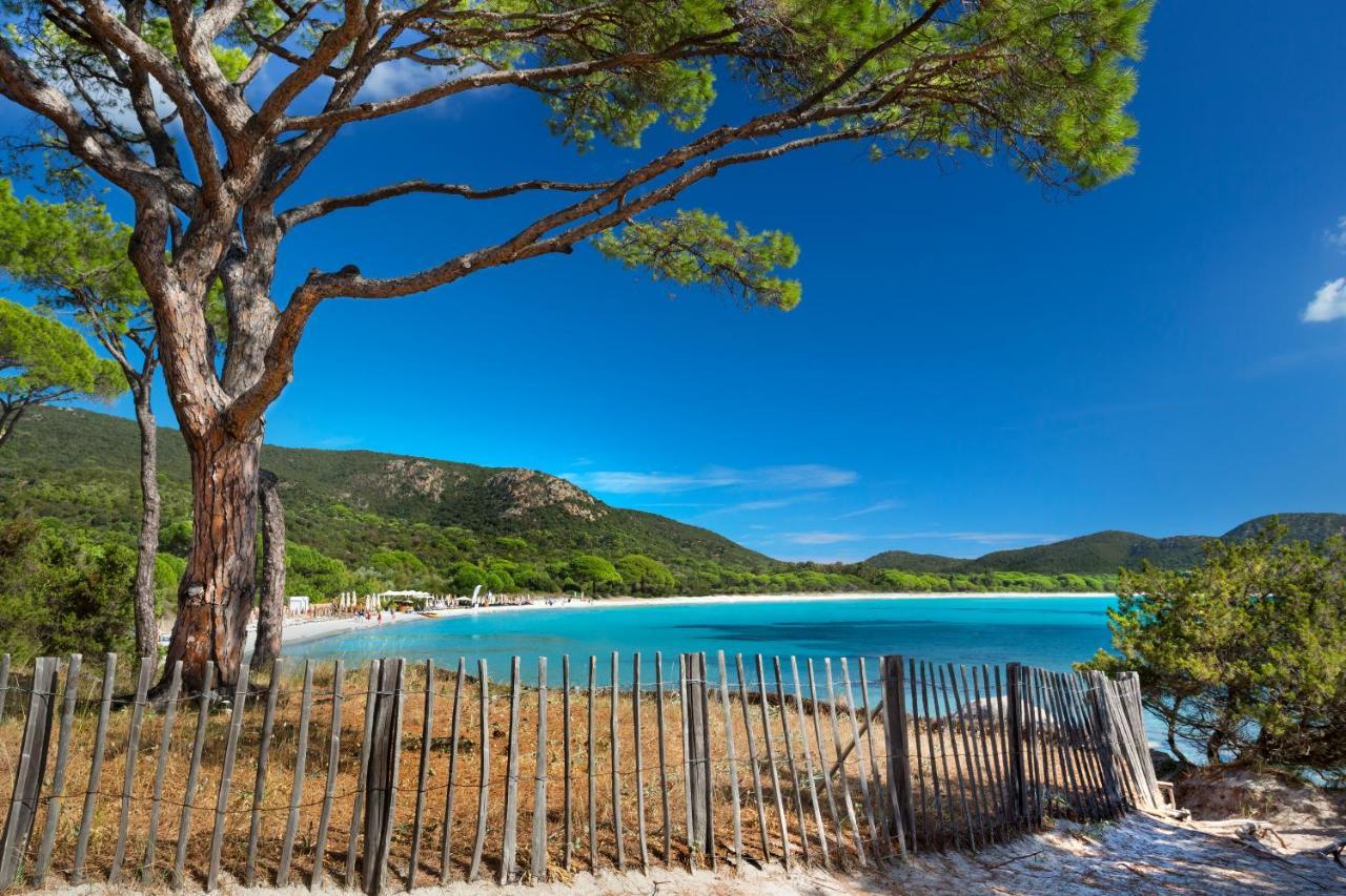 Villa Les Lieges De Palombaggia Porto-Vecchio  Eksteriør billede