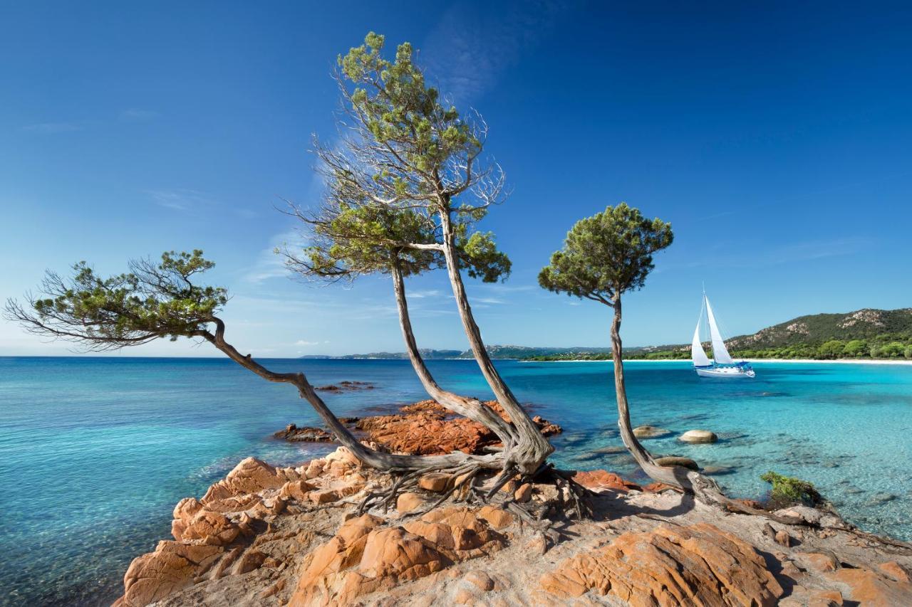 Villa Les Lieges De Palombaggia Porto-Vecchio  Eksteriør billede
